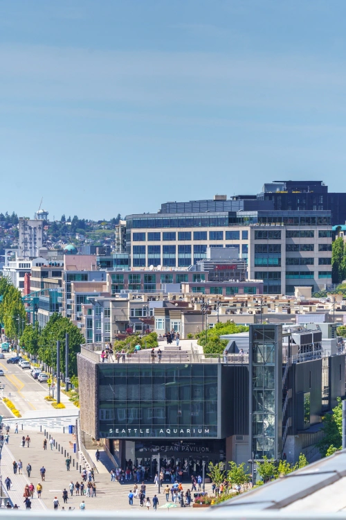 The Seattle Aquarium and waterfront seen from a downtown office window